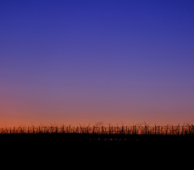 SAMSINGLAMZANG CHOLING GONPA